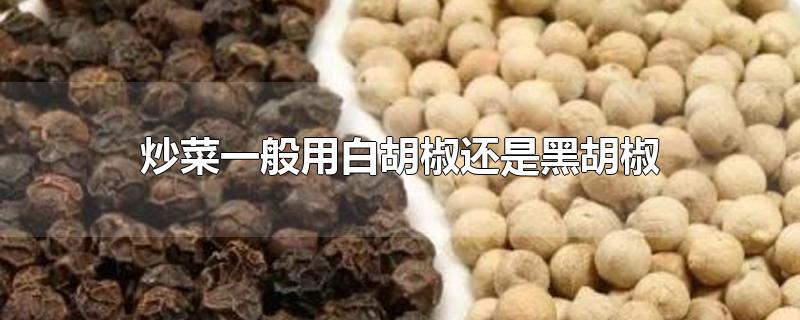 炒菜一般用白胡椒还是黑胡椒-最新炒菜一般用白胡椒还是黑胡椒整理解答