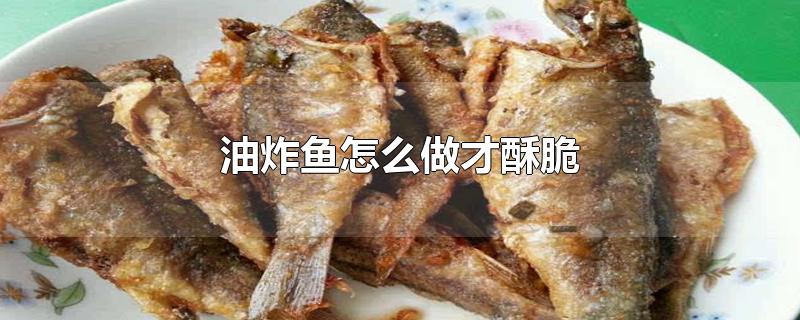 油炸鱼怎么做才酥脆-最新油炸鱼怎么做才酥脆整理解答