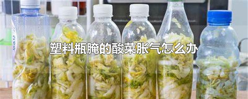 塑料瓶腌的酸菜胀气怎么办-最新塑料瓶腌的酸菜胀气怎么办整理解答