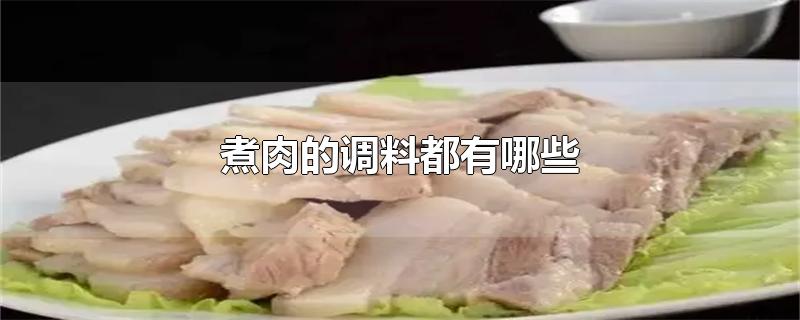 煮肉的调料都有哪些-最新煮肉的调料都有哪些整理解答