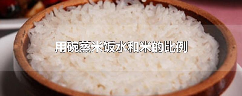 用碗蒸米饭水和米的比例