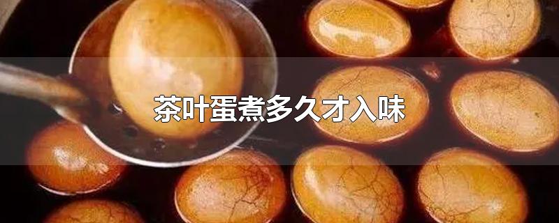 茶叶蛋煮多久才入味-最新茶叶蛋煮多久才入味整理解答