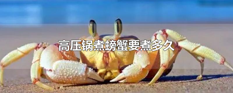 高压锅煮螃蟹要煮多久