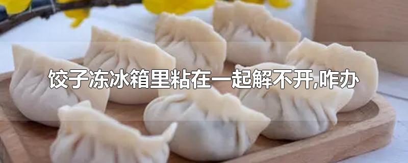 饺子冻冰箱里粘在一起解不开,咋办-最新饺子冻冰箱里粘在一起解不开,咋办整理解答