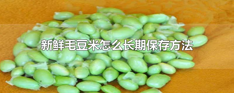 新鲜毛豆米怎么长期保存方法-最新新鲜毛豆米怎么长期保存方法整理解答