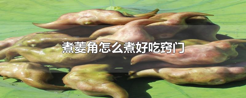 煮菱角怎么煮好吃窍门