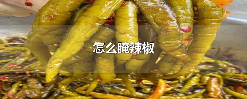 怎么腌辣椒