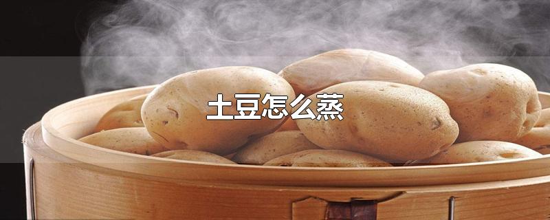 土豆怎么蒸