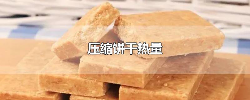 压缩饼干热量-最新压缩饼干热量整理解答