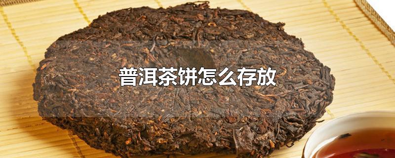 普洱茶饼怎么存放-最新普洱茶饼怎么存放整理解答