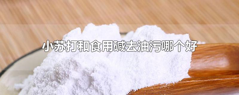 小苏打和食用碱去油污哪个好-最新小苏打和食用碱去油污哪个好整理解答