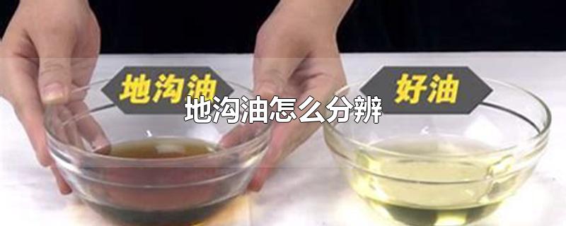 地沟油怎么分辨-最新地沟油怎么分辨整理解答