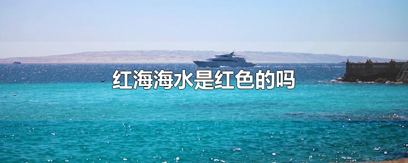 红海海水是红色的吗-最新红海海水是红色的吗整理解答