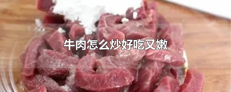 牛肉怎么炒好吃又嫩-最新牛肉怎么炒好吃又嫩整理解答