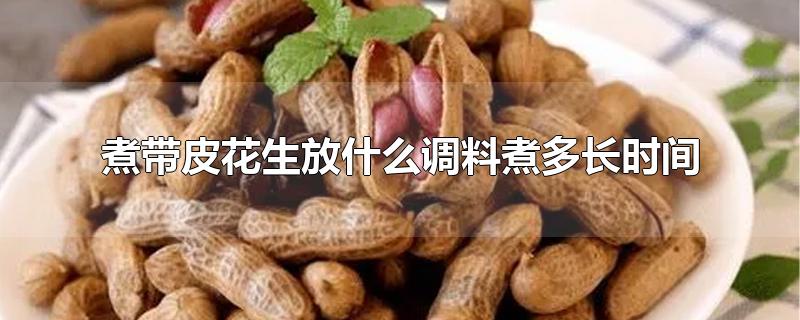 煮带皮花生放什么调料煮多长时间-最新煮带皮花生放什么调料煮多长时间整理解答