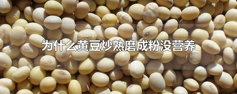 为什么黄豆炒熟磨成粉没营养-最新为什么黄豆炒熟磨成粉没营养整理解答