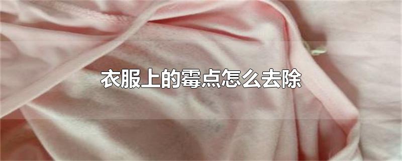 衣服上的霉点怎么去除-最新衣服上的霉点怎么去除整理解答