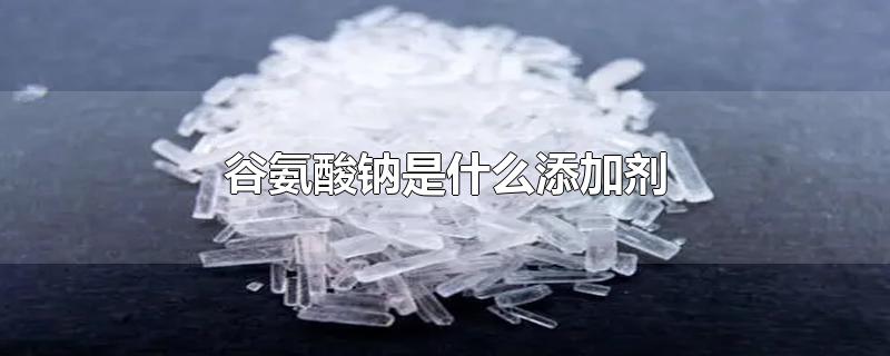 谷氨酸钠是什么添加剂-最新谷氨酸钠是什么添加剂整理解答