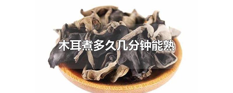 木耳煮多久几分钟能熟