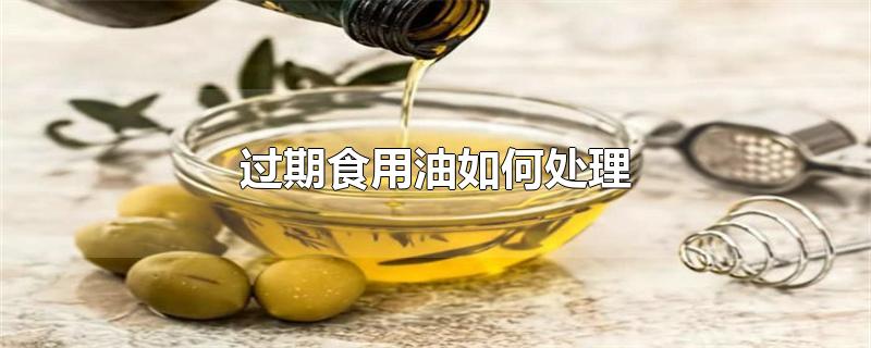 过期食用油如何处理-最新过期食用油如何处理整理解答