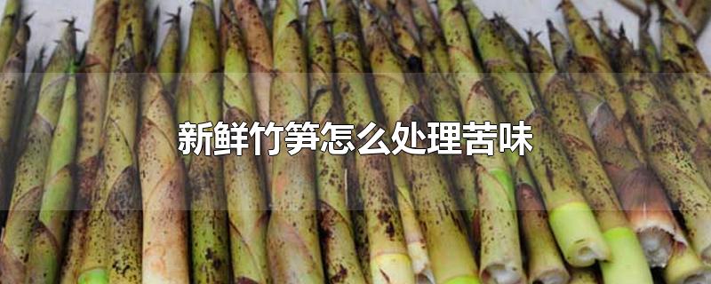 新鲜竹笋怎么处理苦味-最新新鲜竹笋怎么处理苦味整理解答