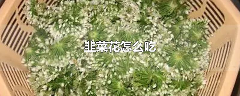 韭菜花怎么吃