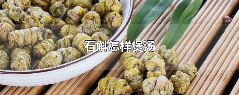 石斛怎样煲汤-最新石斛怎样煲汤整理解答