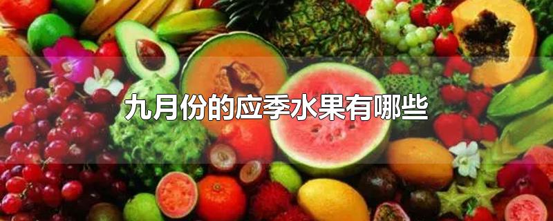 九月份的应季水果有哪些-最新九月份的应季水果有哪些整理解答