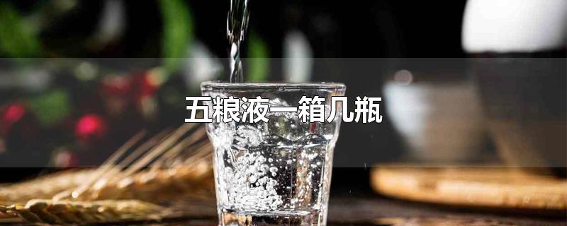 五粮液一箱几瓶