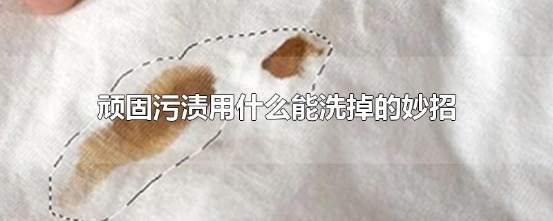 顽固污渍用什么能洗掉的妙招