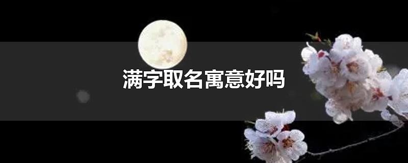 满字取名寓意好吗