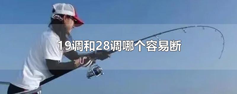 19调和28调哪个容易断-最新19调和28调哪个容易断整理解答