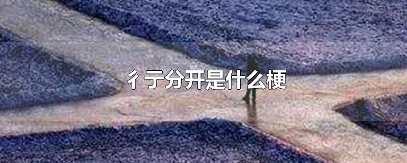 彳亍分开是什么梗-最新彳亍分开是什么梗整理解答