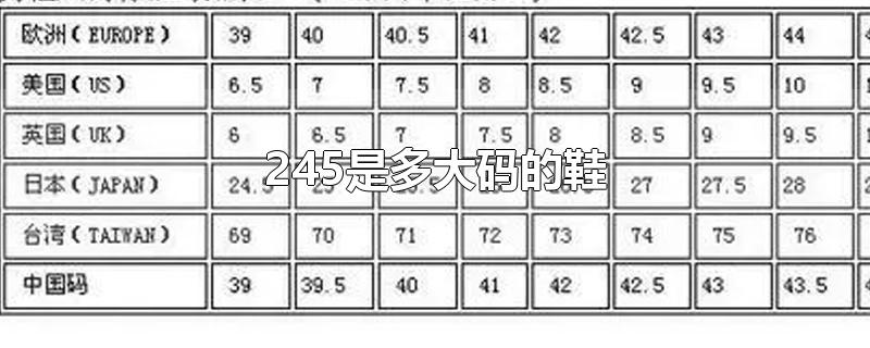 中国标准鞋码对照表245图片