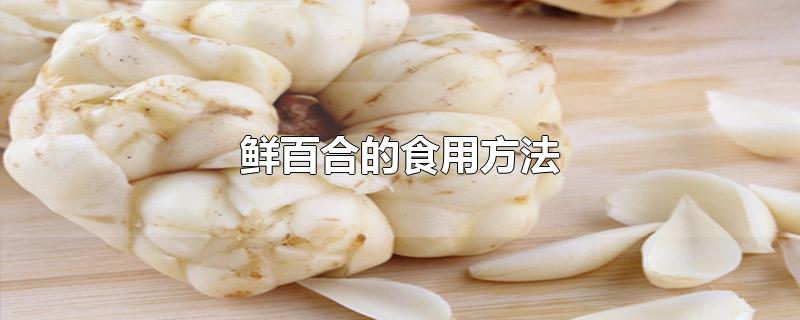 鲜百合的食用方法-最新鲜百合的食用方法整理解答