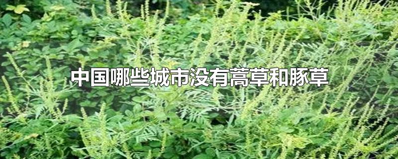 中国哪些城市没有蒿草和豚草-最新中国哪些城市没有蒿草和豚草整理解答