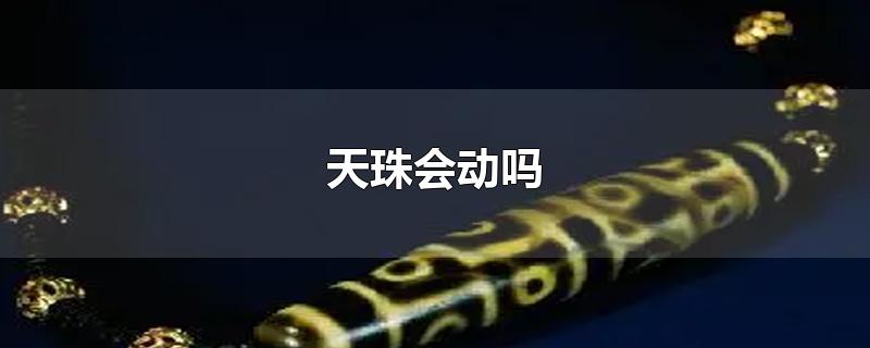 天珠会动吗-最新天珠会动吗整理解答