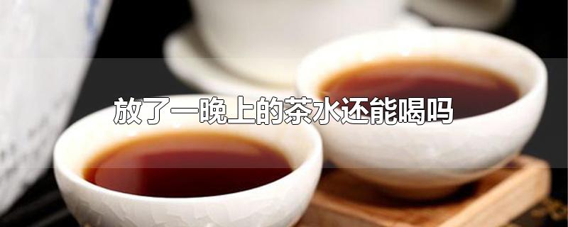 放了一晚上的茶水还能喝吗