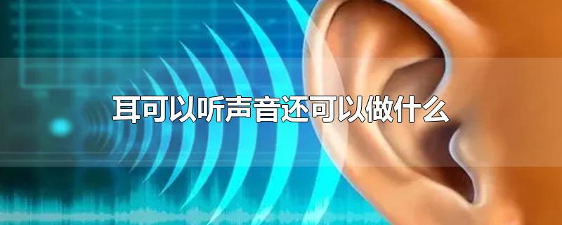 耳可以听声音还可以做什么