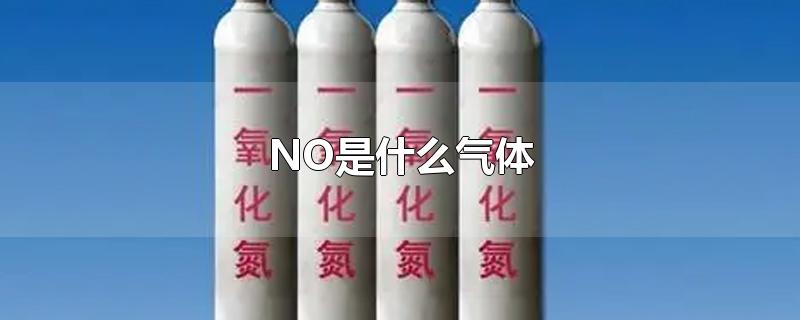 NO是什么气体