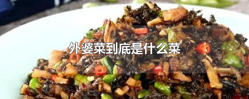 外婆菜到底是什么菜-最新外婆菜到底是什么菜整理解答