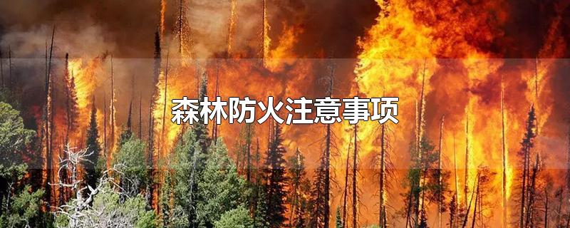 森林防火注意事项-最新森林防火注意事项整理解答