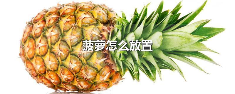 菠萝怎么放置-最新菠萝怎么放置整理解答