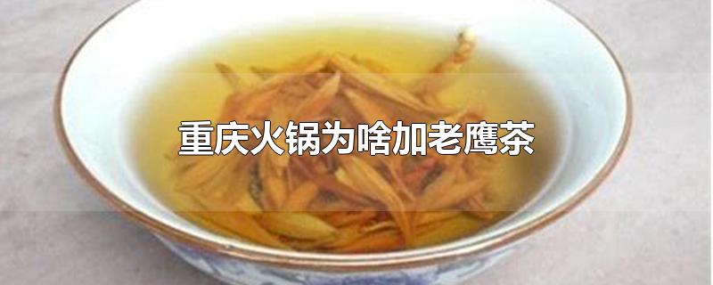 重庆火锅为啥加老鹰茶-最新重庆火锅为啥加老鹰茶整理解答