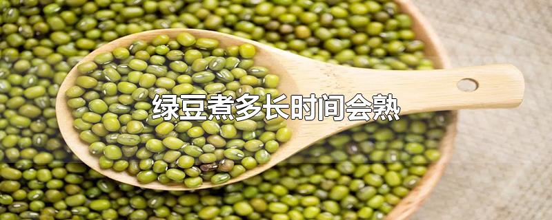 绿豆煮多长时间会熟