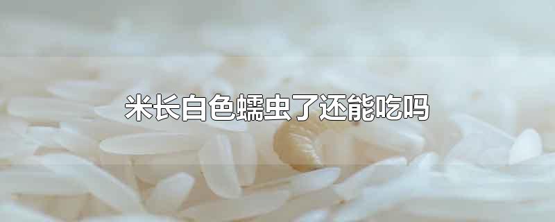 米长白色蠕虫了还能吃吗