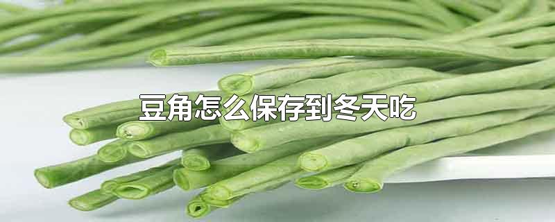 豆角怎么保存到冬天吃-最新豆角怎么保存到冬天吃整理解答