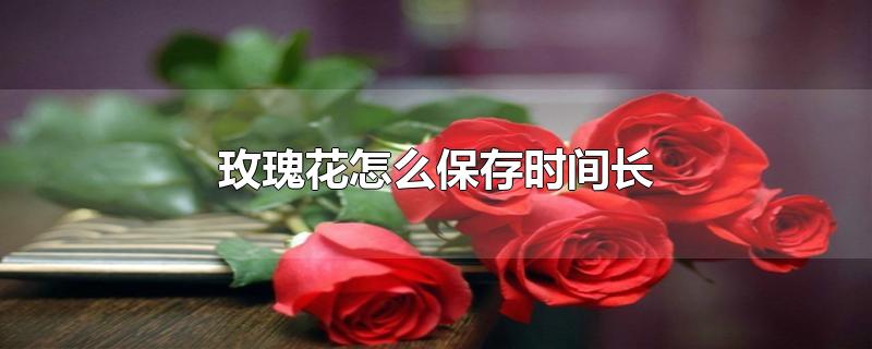 玫瑰花怎么保存时间长-最新玫瑰花怎么保存时间长整理解答