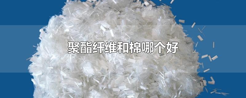 聚酯纤维和棉哪个好-最新聚酯纤维和棉哪个好整理解答