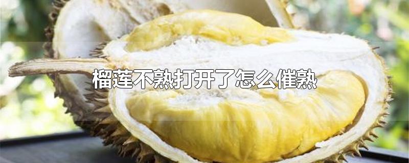 榴莲不熟打开了怎么催熟-最新榴莲不熟打开了怎么催熟整理解答